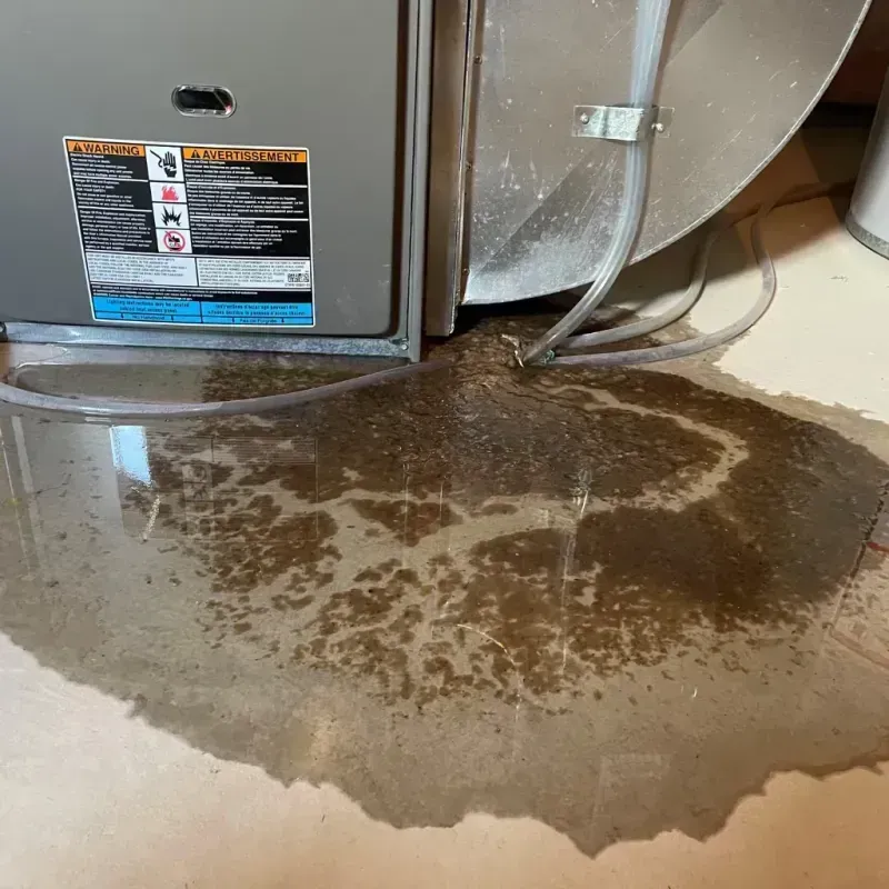 Appliance Leak Cleanup in Loup City, NE